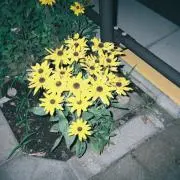 uru☺︎の画像