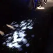 にしの画像