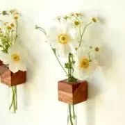 maruの画像