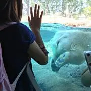 エマミオ