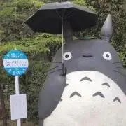みーの画像