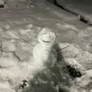 YAの画像