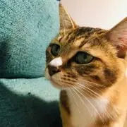 #zuna