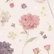 Aの画像