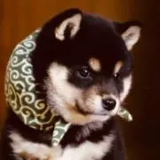 あとむの画像