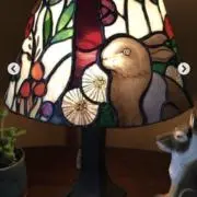 みーの画像
