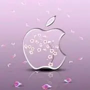 。。。の画像