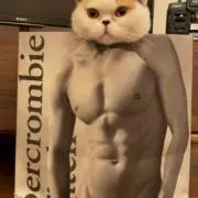 えびまよの画像
