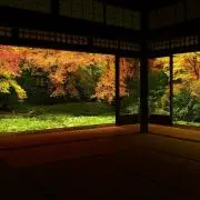 CANANの画像