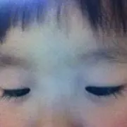 サマフラワーの画像