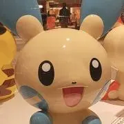 ぽめの画像