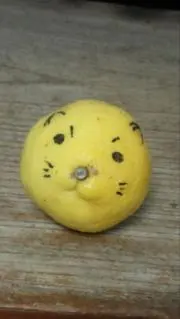 ぽんこの画像