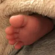 しらたま