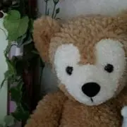 あきぽんこの画像