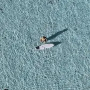 イロハの画像