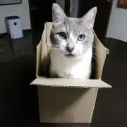 福の画像
