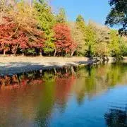 ぐちまの画像