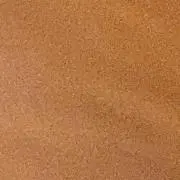 たこたこ