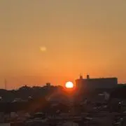 UGの画像