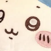 メガルカリオの画像