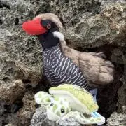 ひなmama