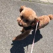 ちろ★