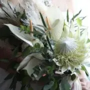 chanchanの画像
