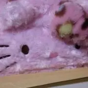 祭の画像