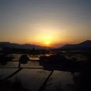 たけ