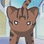 やままやー