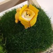 もりもりの画像
