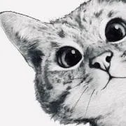 ハムの画像