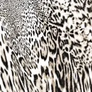 魕の画像