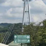 Ringoの画像