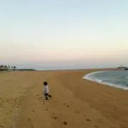Chuchuの画像