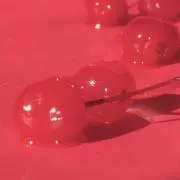 トモトの画像