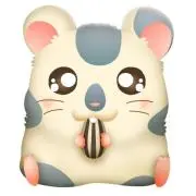 ひいちゃんの画像