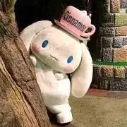 かめの※購入意思のないいいね不要の画像