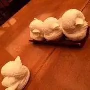 ちゃす。