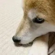 nnnの画像