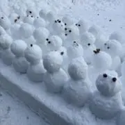 wagaの画像