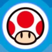 まめこ　※同梱お値引きします！の画像