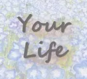 Your Life