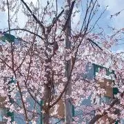☆☆