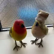 ATの画像