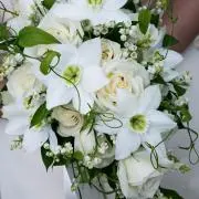 ひまわり