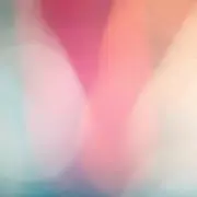 かるびの画像