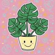 もんすてらの画像