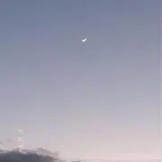 【⚠️6/1~6/7発送できません⚠️】の画像
