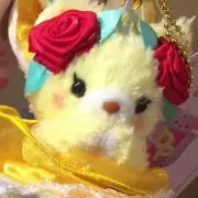 くるみ✳︎即購入OKですの画像